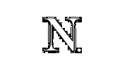 N Color Salon