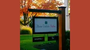 Anne Welsh Salon