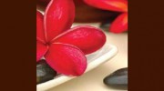 Body Secrets Day Spa & Hair