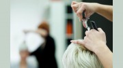 Michael Joseph Furie Salon