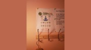 Qi Image Spa