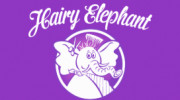 Hairy Elephant Hair Salon